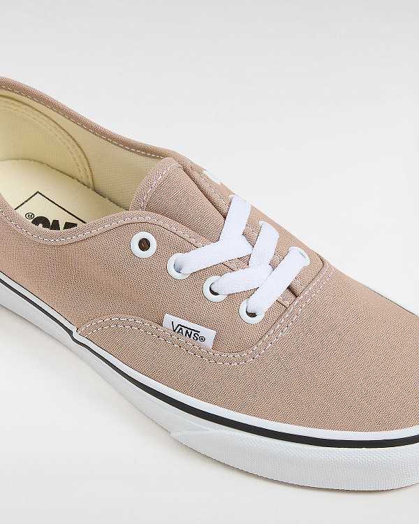 Men Vans Authentic Sneakers Brown Malaysia | VN9083627