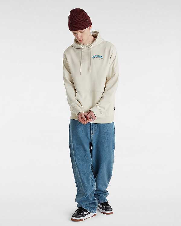 Men Vans True Waves Hoodie Beige Malaysia | VN6154982