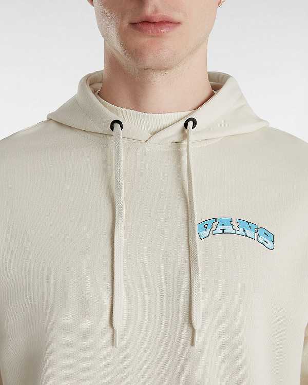 Men Vans True Waves Hoodie Beige Malaysia | VN6154982