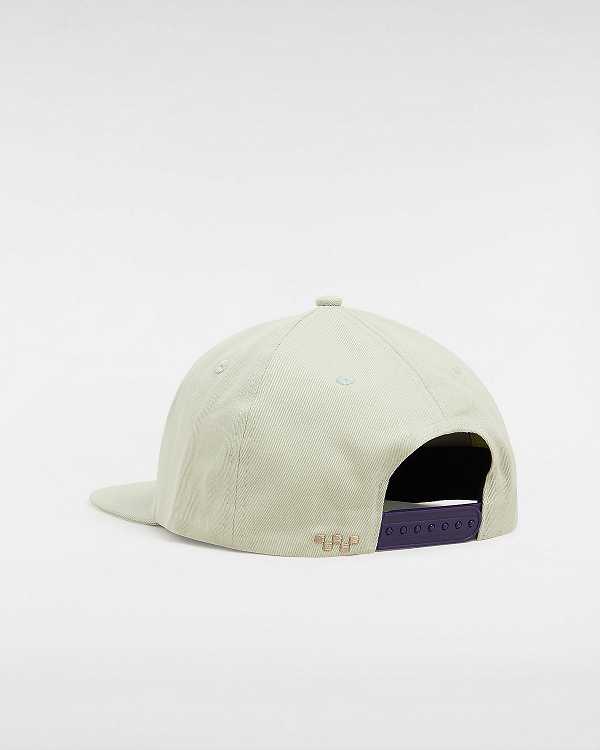 Unisex Vans Skate Star Low Hats Beige Malaysia | VN7439810